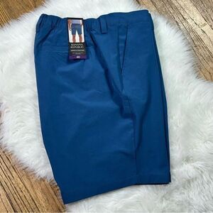 Banana Republic Blue Classic Shorts with Flat Front